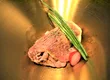 南新宿 和牛烤肉 庆 1